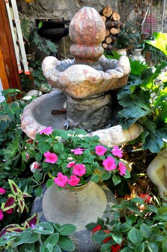 Cozy Garden