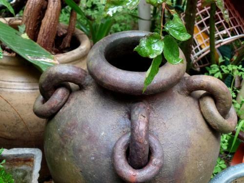 Cozy Garden