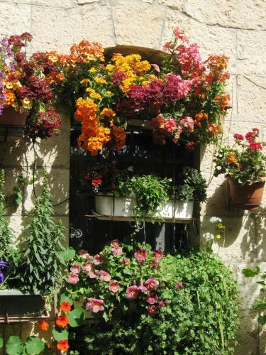 Cozy Garden