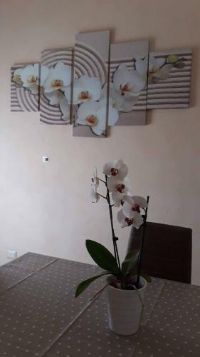 Casa Regina Margherita