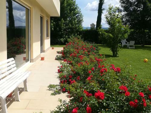 Apartamento B&B Terra Del Sole