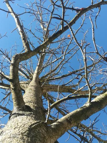 Apartamento B&B Terra Del Sole