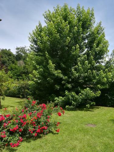 Apartamento B&B Terra Del Sole