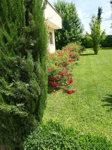 Apartamento B&B Terra Del Sole