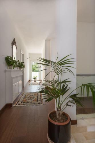 Apartamento B&B Terra Del Sole