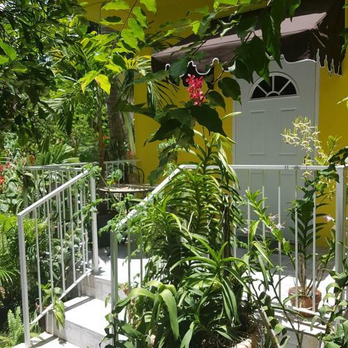 Hostal Ever Blooming Orchid Cottage