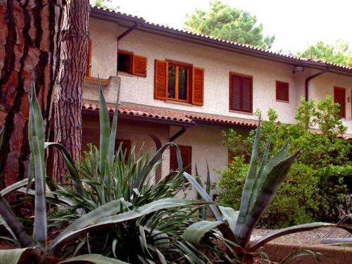 Apartments Aragosta