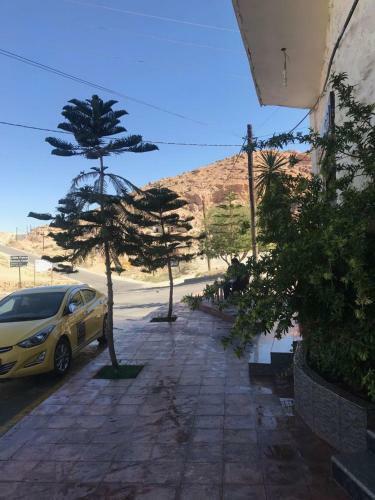 Bed & Breakfast Esperanza Petra