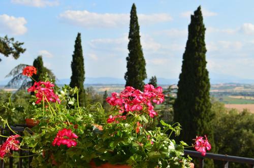 Agroturismo Villa Schiatti