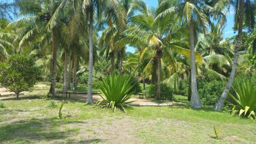 Hotel Oc�an Beach Sakatia