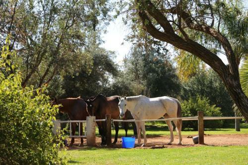 Bed & Breakfast La Vie En Rose