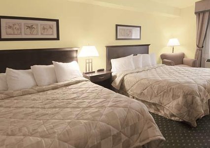 Comfort Hotel & Suites