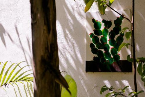Vainilla Bed An Breakfast Mexico