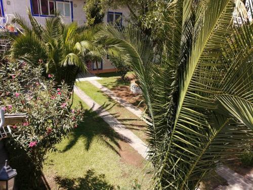 Hotel Elohim