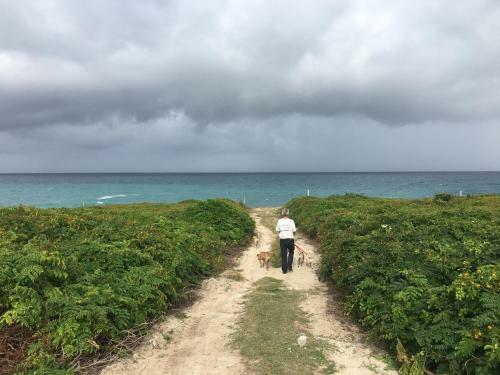 Apartamento Casa Pastel 2