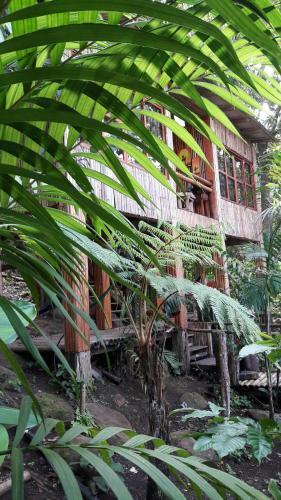 Agroturismo Caba�as Encantadas Benito Ju�rez