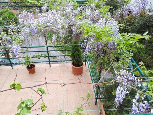 Apartamento Ecohouse Risan Studio