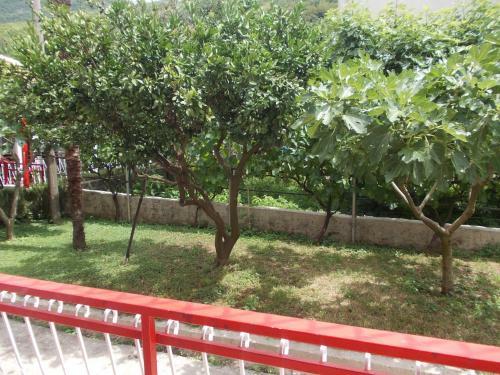 Apartment Jelaca