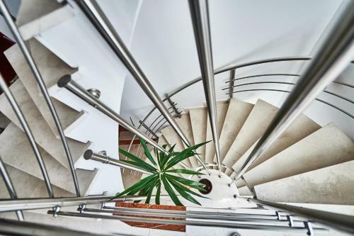 Apartments Mont
