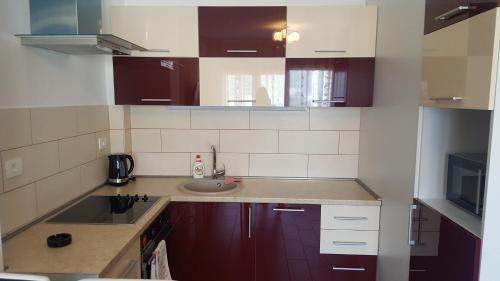 Apartment Gosposhtina 219