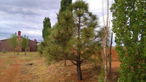 Agroturismo Rancho Payasito