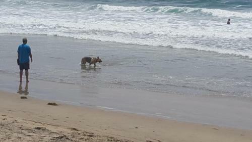Playa Hermosa Bed & Breakfast