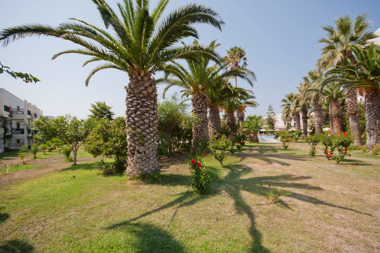 Hotel Tigaki Beach