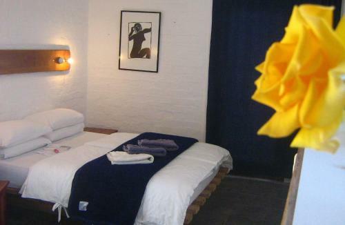 Bed & Breakfast Alternative Space B & B
