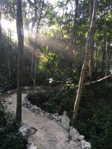 Bed & Breakfast Casa Tzalam Tulum Selva