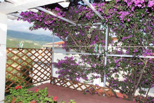 Hostal Apartments Sandra