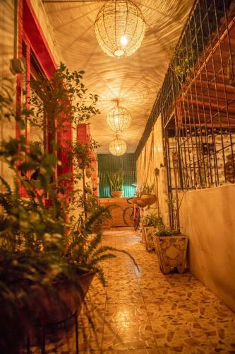 Albergue Malagueta Inn
