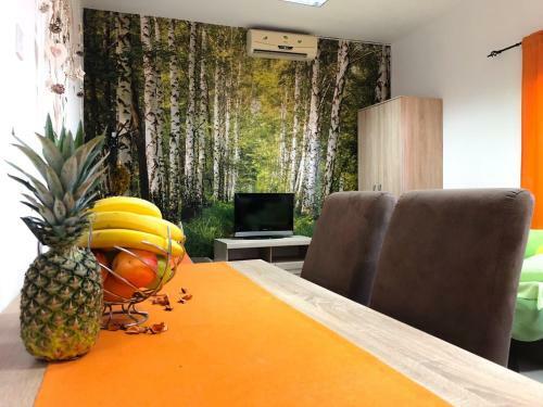 Lana Apartment Podgorica