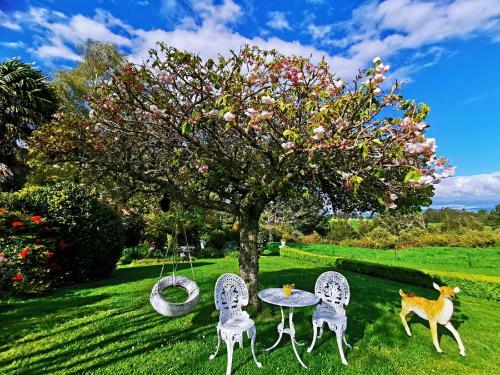 Bed & Breakfast Country Villa