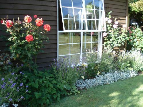 Tranquility Homestay Bed & Breakfast