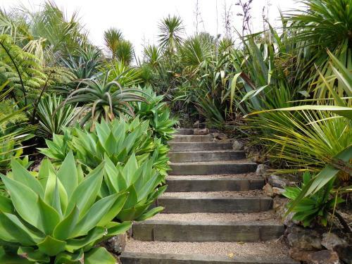 Nikau Apartments Waiheke Island