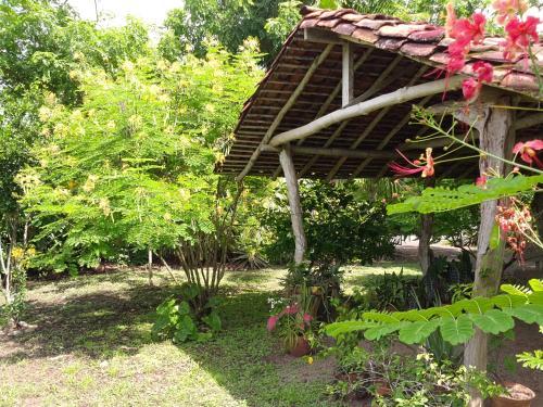 Bed & Breakfast La Rosa De Los Vientos
