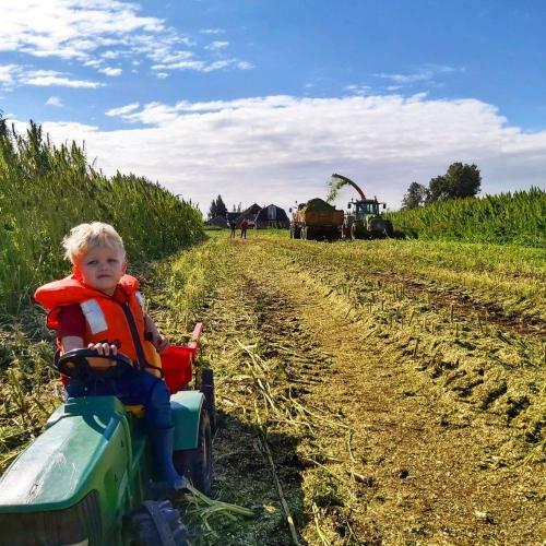 Apartamento Ruyge Weyde Logies