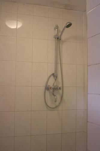 Hostel The Veteran