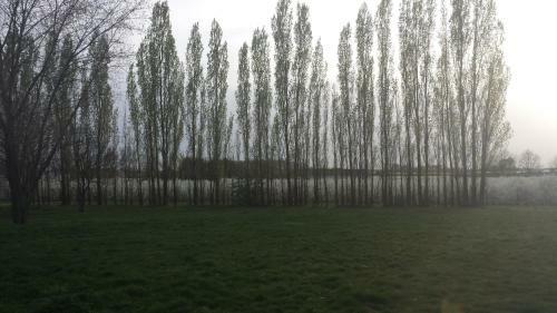 B&B Johannes-hoeve