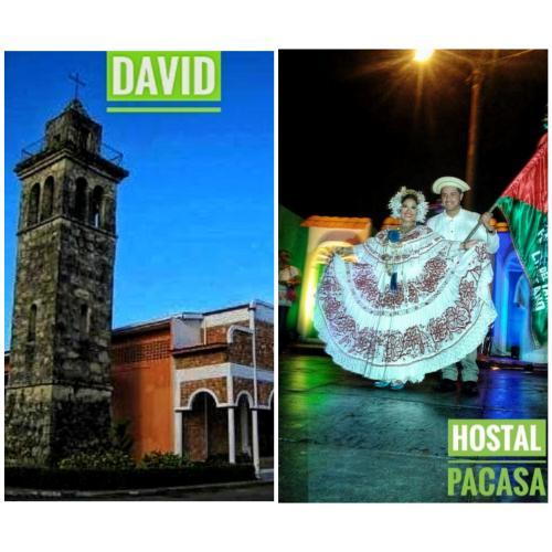 Pacasa Hostel