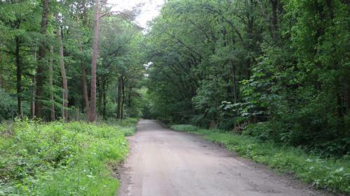 Boemerang
