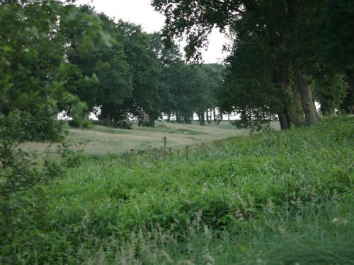 Holiday Home Chaletpark Kuiperberg I