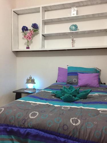 Hostal Cusco Magico 3 - Casa Particular