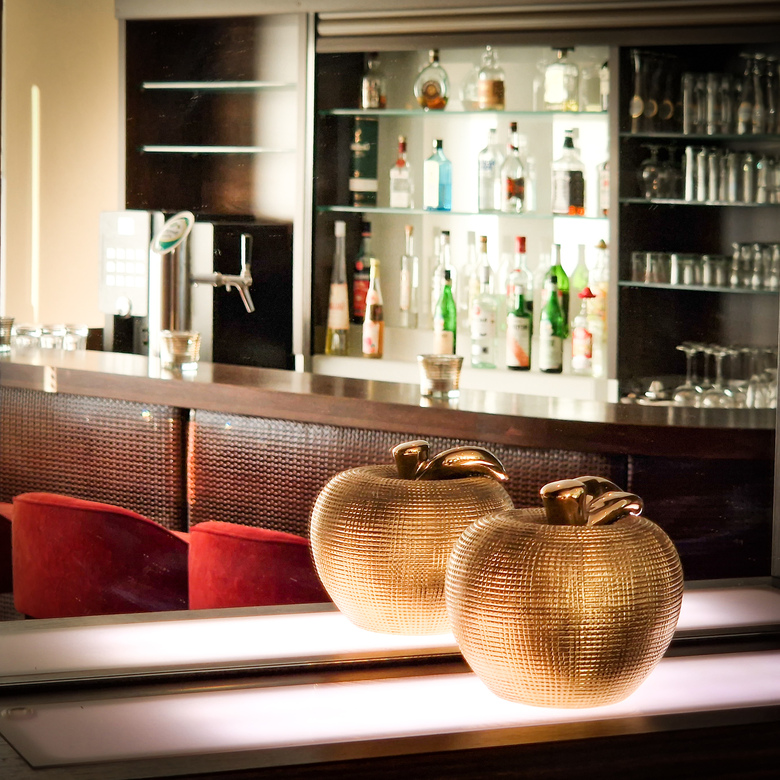 Astralis Hotel Domizil