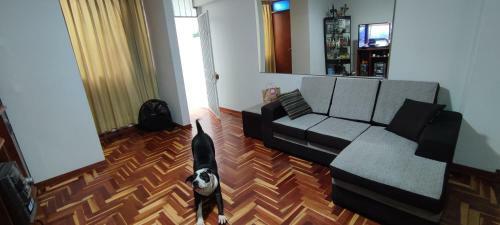 Apartamento Marco