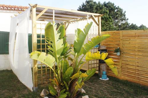 Hostal Aljezur Experiences Surf & Lounge House