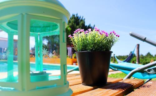 Hostal Aljezur Experiences Surf & Lounge House