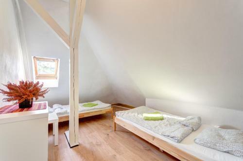 Garden Hostel