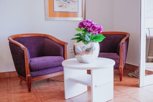 Posada Villa Amore Accommodation