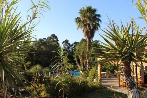 Hostal Quinta Pedag�gica Da Samoqueirinha - Duna Parque Group